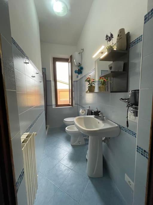 Apartament La Casa Di Alex - Alex'S House Colle Val D'Elsa Zewnętrze zdjęcie